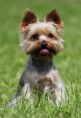 /album/fotogalerie/img-5770-jpg/